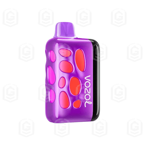 پاد یکبار مصرف ریو ۴۰۰۰۰ پاف کمپانی وزول طعم انگور یخ | Vozol Rave 40000 Puffs Grape Ice